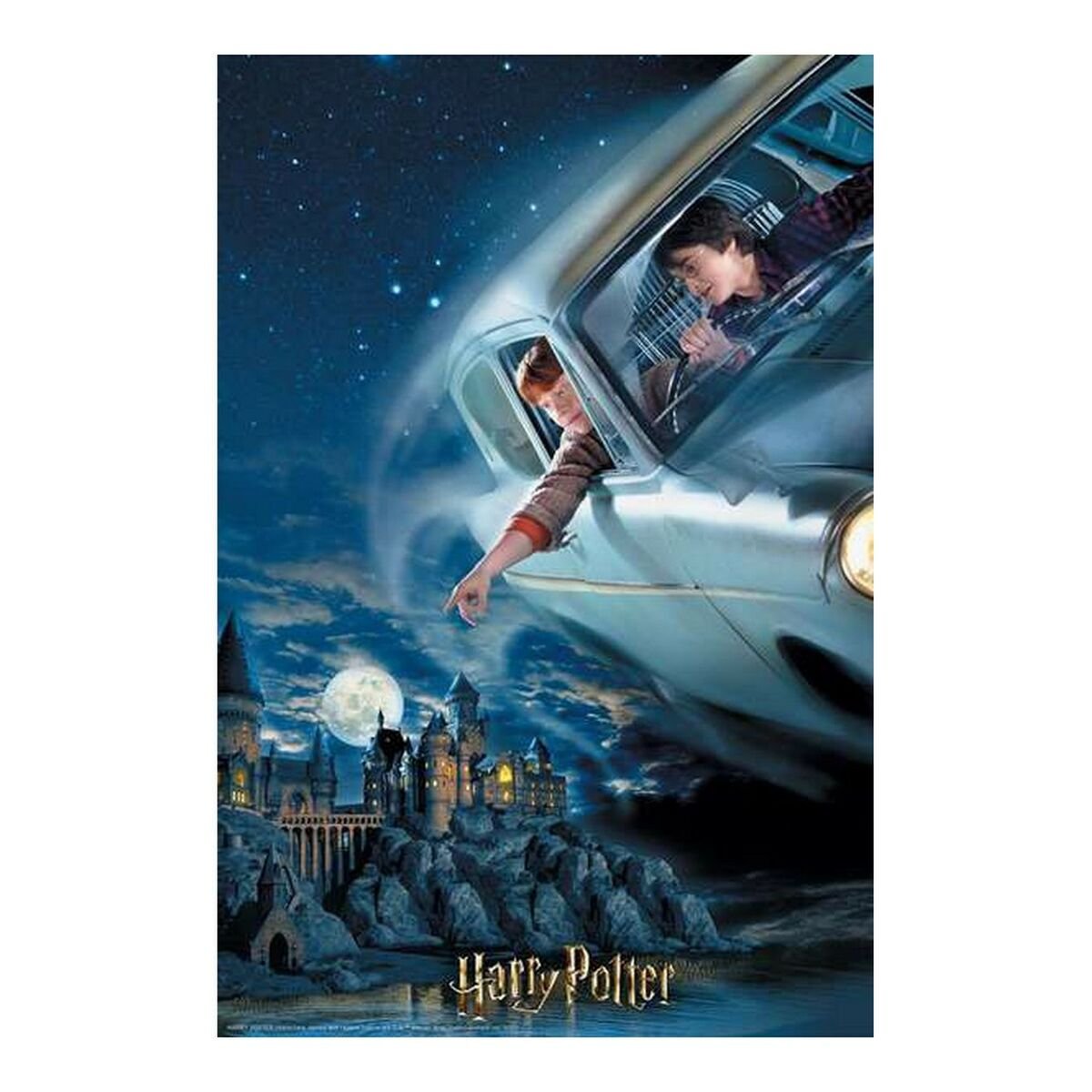 3d Puzzle Harry Potter & Ron (300 Pcs) - Hračky a Hry Hlavolamy