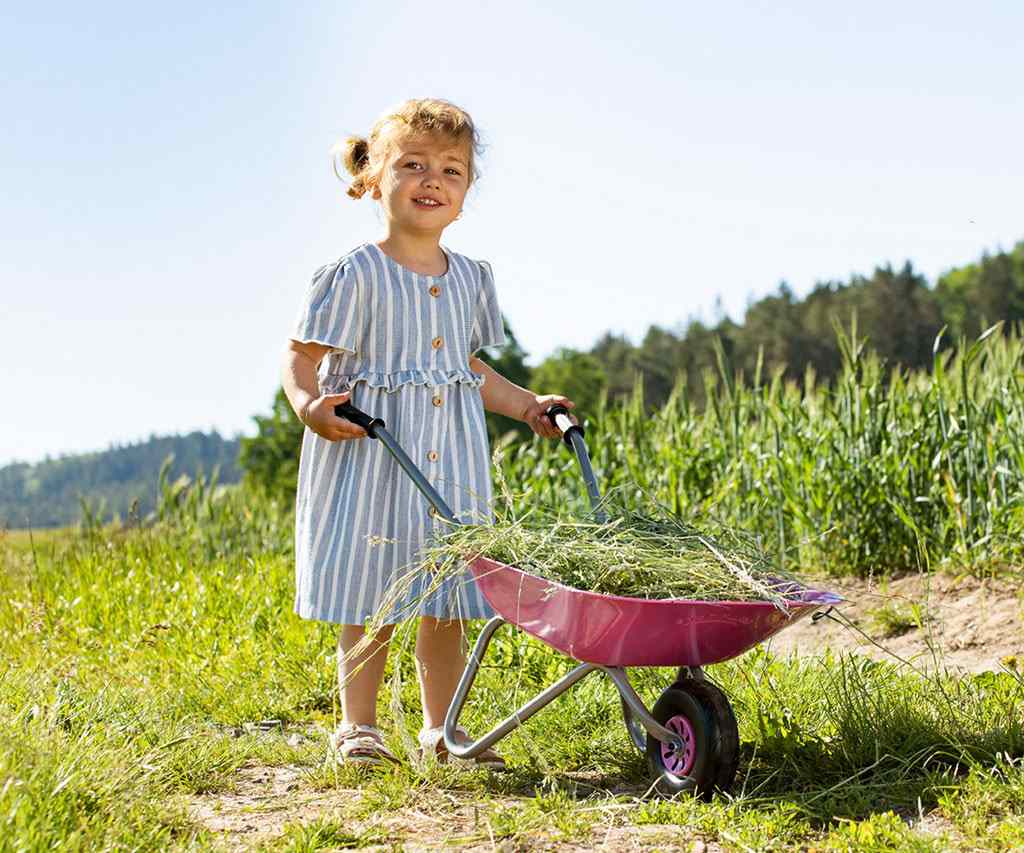 Detský Záhradný Fúrik Kovový Milly Mally Rolly Toys Ružový - Hračky na Záhradu - Milly Mally