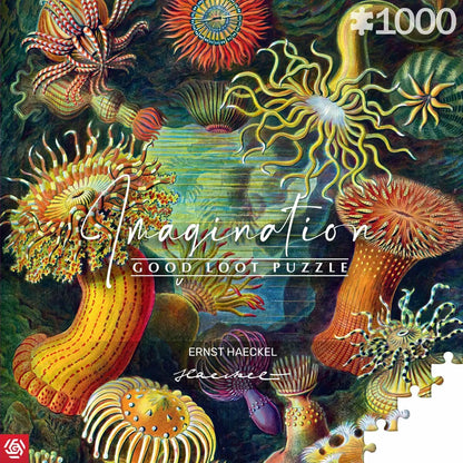 Puzzle Cenega Publishing Ernst Haeckel Morské Tvory 1000 Kusov - Hračky a Hry Hlavolamy