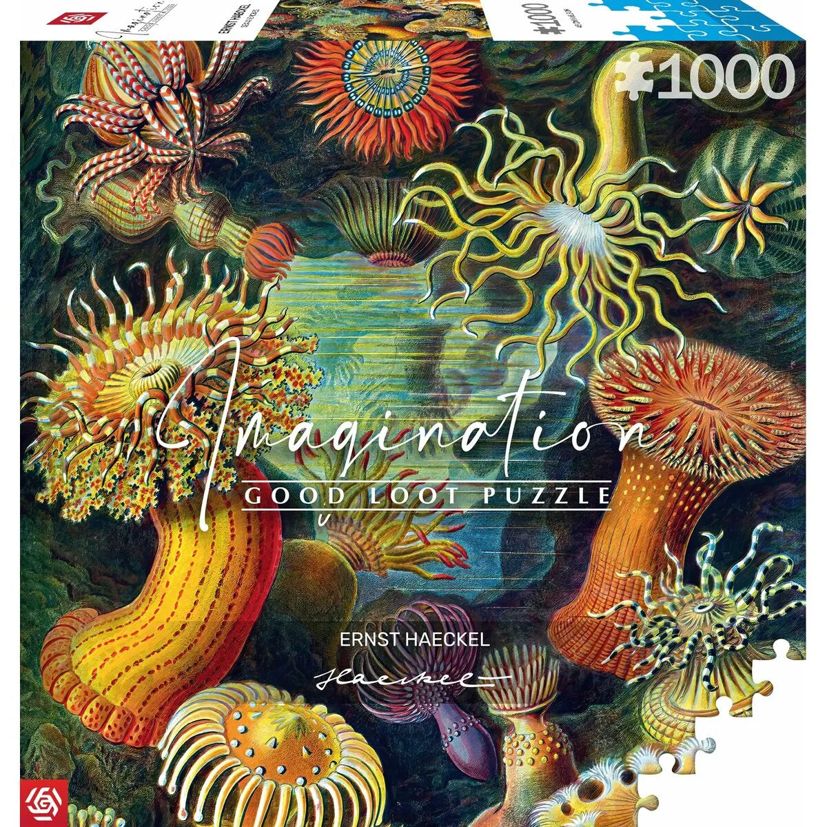 Puzzle Cenega Publishing Ernst Haeckel Morské Tvory 1000 Kusov - Hračky a Hry Hlavolamy