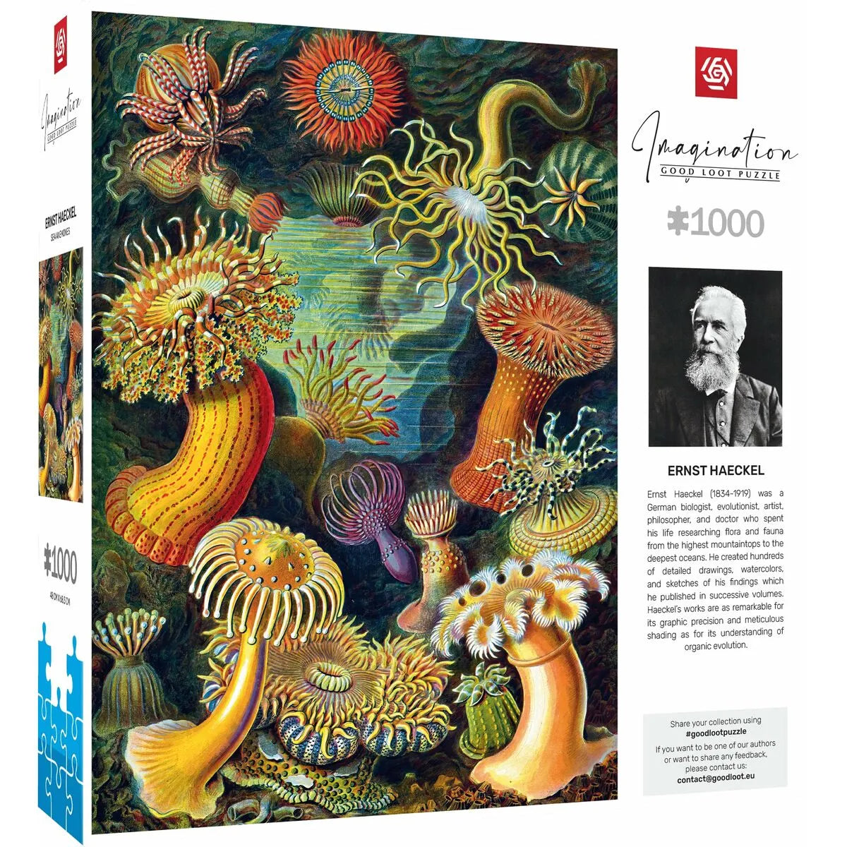 Puzzle Cenega Publishing Ernst Haeckel Morské Tvory 1000 Kusov - Hračky a Hry Hlavolamy