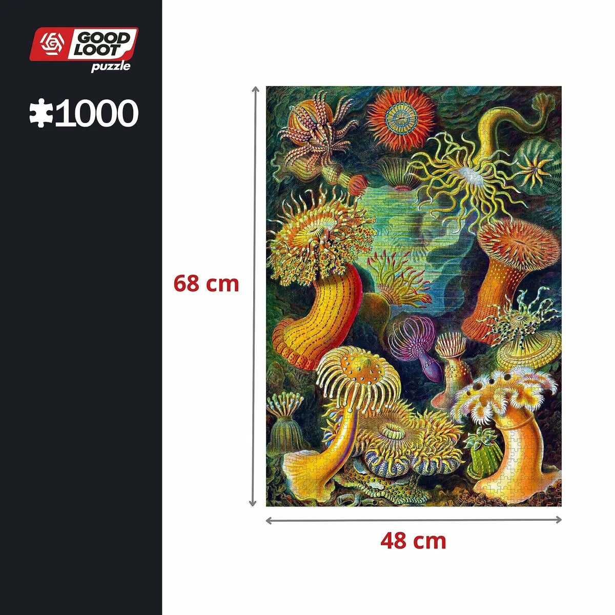 Puzzle Cenega Publishing Ernst Haeckel Morské Tvory 1000 Kusov - Hračky a Hry Hlavolamy