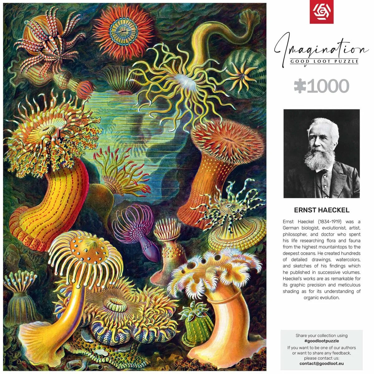 Puzzle Cenega Publishing Ernst Haeckel Morské Tvory 1000 Kusov - Hračky a Hry Hlavolamy