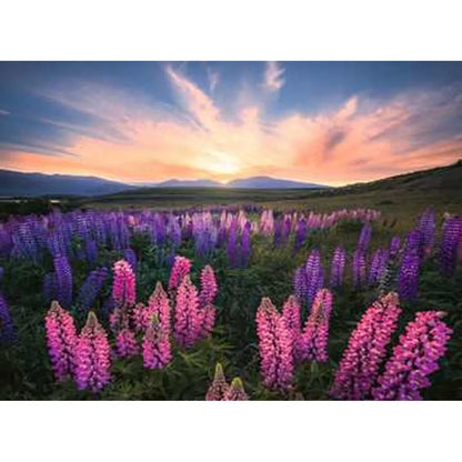 Puzzle Ravensburger 17492 Lupines 500 Kusy - Hračky a Hry Hlavolamy